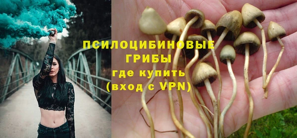 2c-b Кукмор