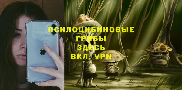 2c-b Кукмор